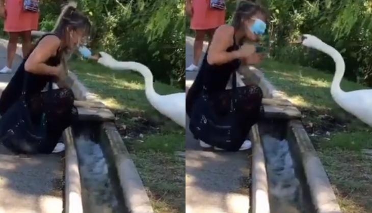 viral video