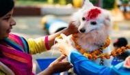 दिवाली पर मां लक्ष्मी की नहीं बल्कि कुत्तों की पूजा करते हैं इस देश के लोग