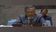 India at UNGA: Terrorism will continue as single most crucial threat for peace, security
