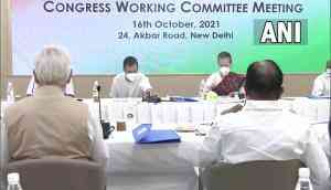 CWC Meeting: No need to speak to me through media, says Sonia Gandhi to G-23 leaders