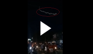 Video of huge snake hanging on the wires above a busy street goes viral