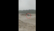 Viral Video: Elephant gets stuck in flooded river; know what happens next