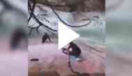 Hikers fall into waterfall pool, Sikh men use this thing to rescue them; incredible video goes viral