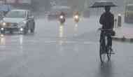 Delhi: Mercury dips in city as rain, strong wind return