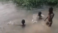 झील में नहा रहे थे बच्चे तभी आ गया दरियाई घोड़ा, वीडियो में देखें आगे हुआ क्या