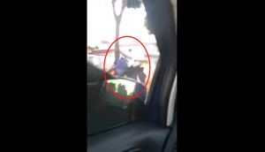 Cow runs onto road and attacks motorist; video will leave you more bemused than shocked