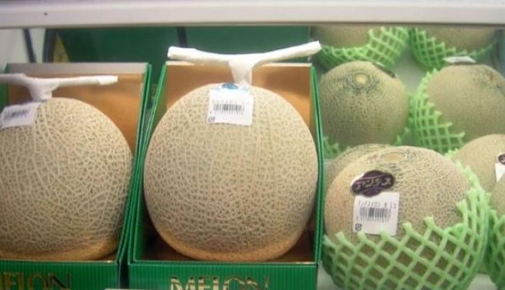 Yubari Melon