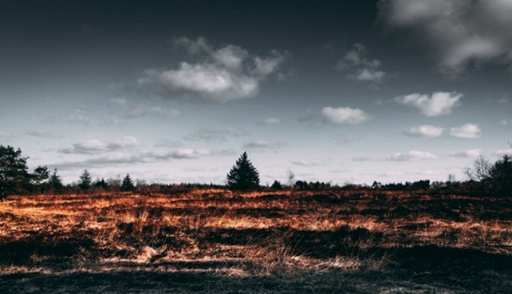 Study finds forest fires linked to low birth weight in newborns