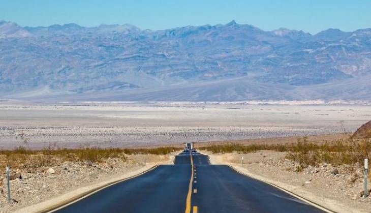 Nevada Tringle