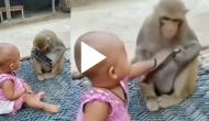 Monkey snatches mobile phone from little girl; video will make you burst into laughter