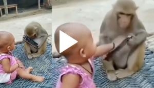 Monkey snatches mobile phone from little girl; video will make you burst into laughter