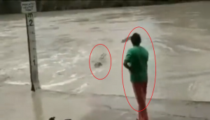 Woman finds hilarious way to scare off huge crocodile; video will amuse you!