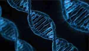 Research explores how genetic differences leave immune cells at disadvantage