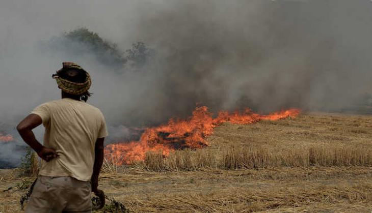 NASA image shows how stubble burning added to ongoing pollution crisis