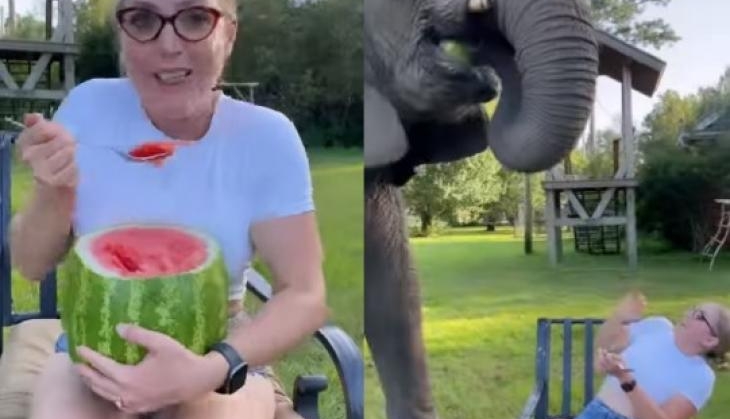 Elephant and Woman