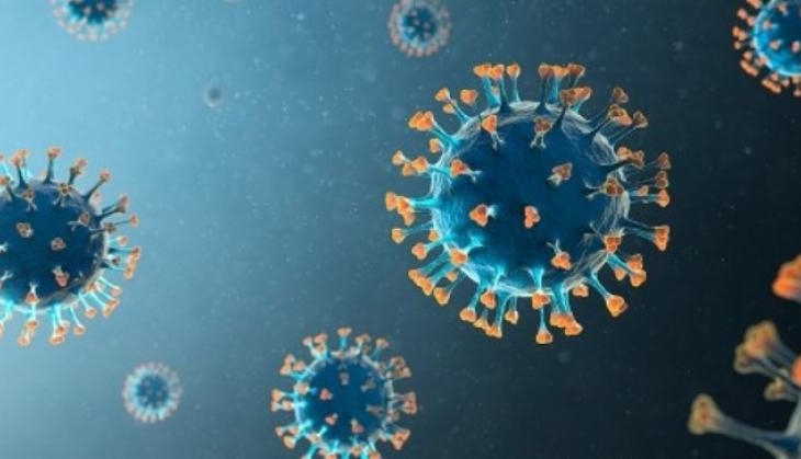 Corona Virus