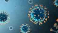 COVID-19 Pandemic: Political rallies, protests prohibited in Uttarakhand till Jan 16