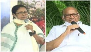 Mamata Banerjee likely to meet Sharad Pawar today