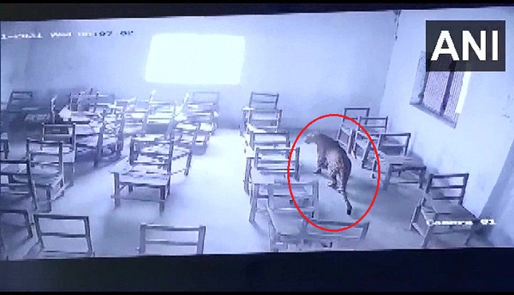 UP Shocker: Leopard enters college, injures student in Chaudhary Nihal Singh Inter College