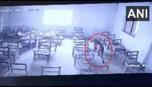 UP Shocker: Leopard enters college, injures student in Chaudhary Nihal Singh Inter College