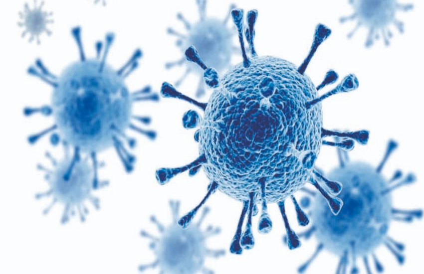 Omicron: Chandigarh, Andhra Pradesh detect first cases, 3rd case in K'taka; India tally now 36