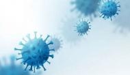 Coronavirus Pandemic: Zimbabwe returnee tests positive for Omicron in Gujarat, India's 3rd case