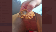 UK woman finds fried chicken head in KFC meal, see pic 