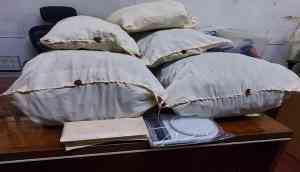 Drug racket busted in Bengaluru: 15 kg cannabis seized, six held