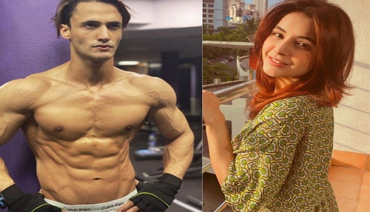 'Bigg Boss 13' fame Asim Riaz clarifies his cryptic tweet was not for Shehnaaz Gill 