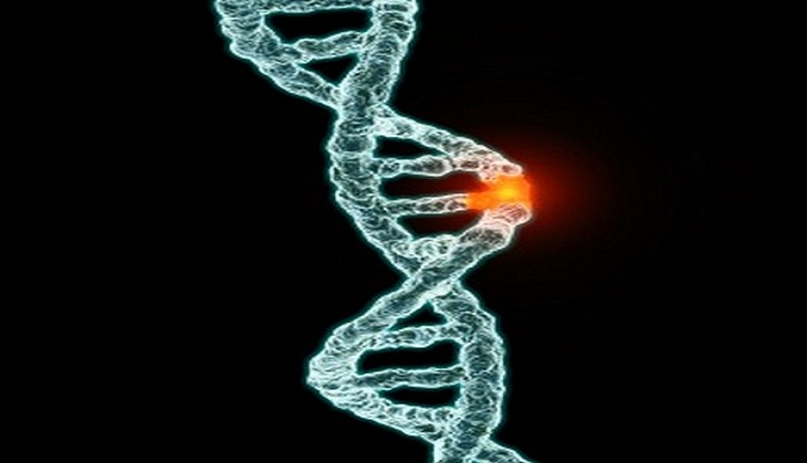 Experimental gene therapy reverses sickle cell disease for years: Study