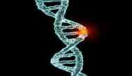 Experimental gene therapy reverses sickle cell disease for years: Study