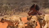 Video: जंगल में 6 शेरनियों को पालतू कुत्तों की तरह घुमाती दिखी महिला, वीडियो देख उड़ जाएंगे होश!