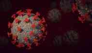 Coronavirus Pandemic: La Martiniere Girls College, Lucknow reports 2 COVID-19 cases