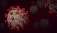 Coronavirus Pandemic: La Martiniere Girls College, Lucknow reports 2 COVID-19 cases