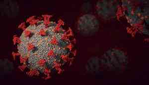 Coronavirus Pandemic: La Martiniere Girls College, Lucknow reports 2 COVID-19 cases