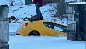 Insane! Woman does this bizarre thing on top of her sinking car; see viral pic