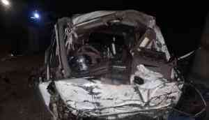 BJP MLA's son among 7 medical students killed as car falls from bridge 