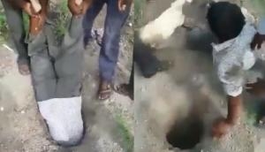 बोरवेल में गिर गया बकरी का बच्चा, वीडियो में देखें इस शख्स निकालने के लिए क्या क्या