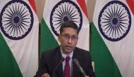 India positive and ready to discuss with Pakistan expansion of pilgrimage sites, mode of travel: MEA