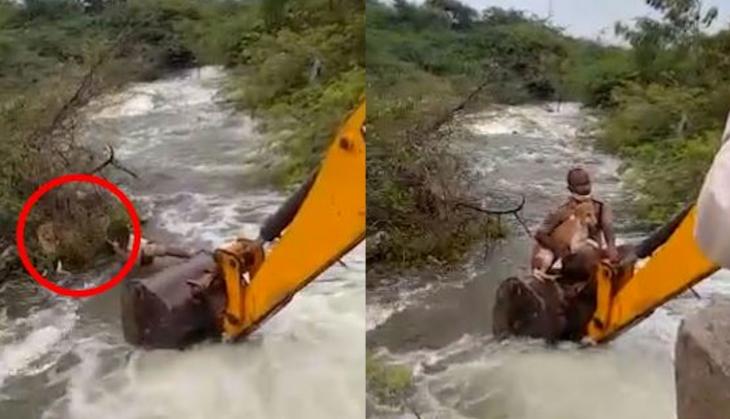 Telangana cop risks his life to rescue dog, netizens laud his spirit [Watch] 