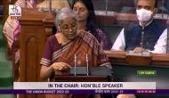 Budget 2022 Updates: Customs duty on cut and polished diamonds, gems to be reduced to 5 pc, says FM Sitharaman