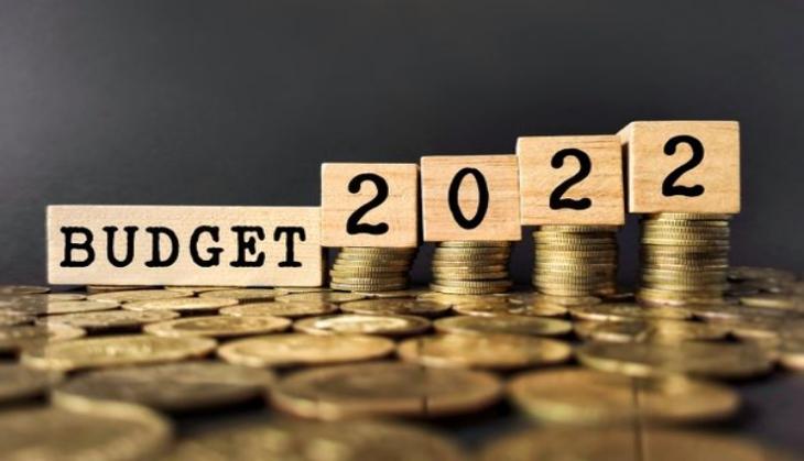 Union Budget 2022: Top searches by people on Google 