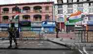 J-K: 439 terrorists eliminated after Article 370 abrogation, says MoS Home Nityanand Rai