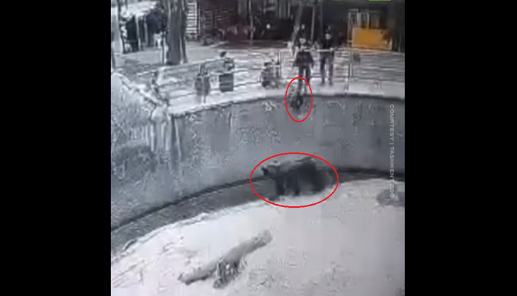Mother throws her little daughter into bear enclosure; horrifying video goes viral