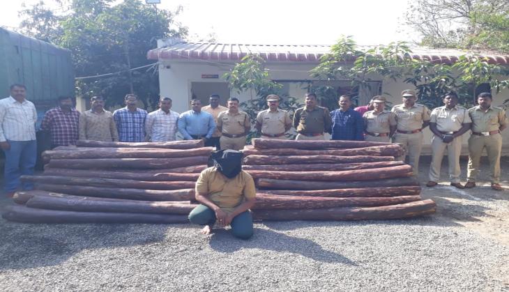 Man tries to smuggle red sandalwood in 'Pushpa' style 
