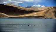 Chinese bridge on Pangong Lake being built in area occupied illegally since 1962: Govt in Lok Sabha