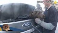 Cop saves dog that was trapped in burning car, watch heroic rescue