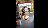 Woman screams in fear after seeing giant monitor lizard inside restaurant; video goes viral