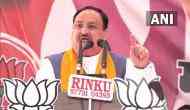 Assembly Polls 2022: Punjab election is choice between development, destruction, says JP Nadda