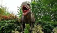 First evidence indicating respiratory infection in dinosaurs discovered